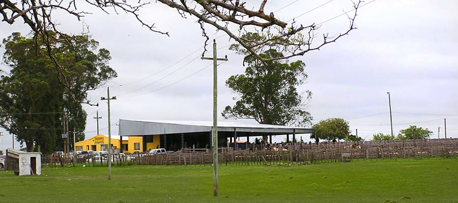 Empresa